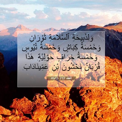 Picture 07 - اَلْعَدَد 7:17 AVD - وَلِذَبِيحَةِ - Bible Verse Picture
