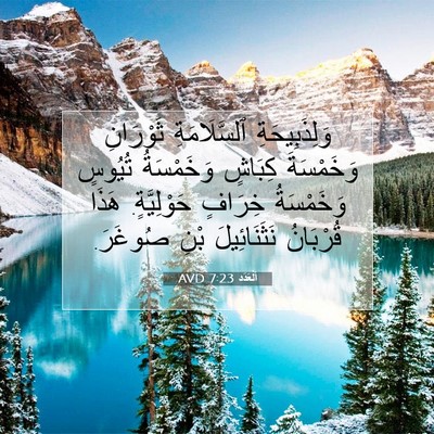 Picture 07 - اَلْعَدَد 7:23 AVD - وَلِذَبِيحَةِ - Bible Verse Picture