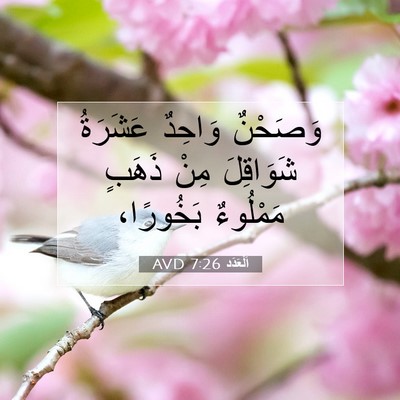 Picture 07 - اَلْعَدَد 7:26 AVD - وَصَحْنٌ وَاحِدٌ عَشَرَةُ - Bible Verse Picture