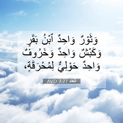 Picture 07 - اَلْعَدَد 7:27 AVD - وَثَوْرٌ وَاحِدٌ ٱبْنُ - Bible Verse Picture
