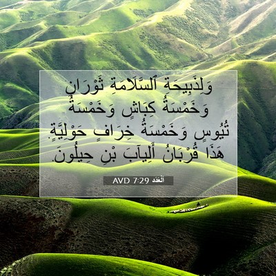 Picture 07 - اَلْعَدَد 7:29 AVD - وَلِذَبِيحَةِ - Bible Verse Picture