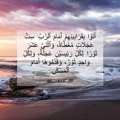 Picture 07 - اَلْعَدَد 7:3 AVD - أَتَوْا بِقَرَابِينِهِمْ - Bible Verse Picture
