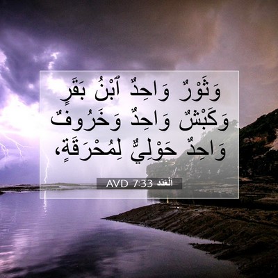 Picture 07 - اَلْعَدَد 7:33 AVD - وَثَوْرٌ وَاحِدٌ ٱبْنُ - Bible Verse Picture