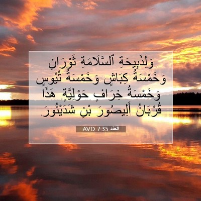 Picture 07 - اَلْعَدَد 7:35 AVD - وَلِذَبِيحَةِ - Bible Verse Picture