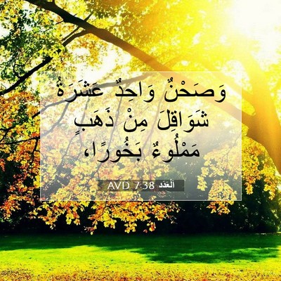 Picture 07 - اَلْعَدَد 7:38 AVD - وَصَحْنٌ وَاحِدٌ عَشَرَةُ - Bible Verse Picture