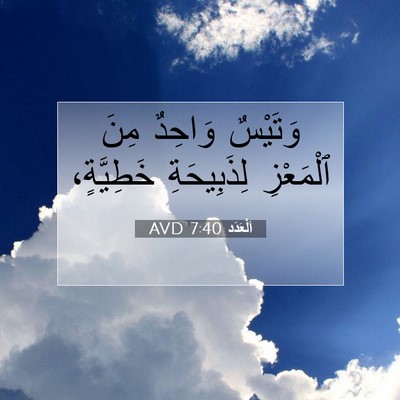 Picture 07 - اَلْعَدَد 7:40 AVD - وَتَيْسٌ وَاحِدٌ مِنَ - Bible Verse Picture