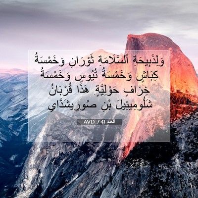 Picture 07 - اَلْعَدَد 7:41 AVD - وَلِذَبِيحَةِ - Bible Verse Picture