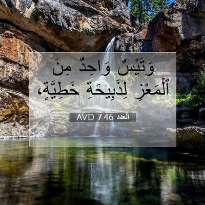 Picture 07 - اَلْعَدَد 7:46 AVD - وَتَيْسٌ وَاحِدٌ مِنَ - Bible Verse Picture
