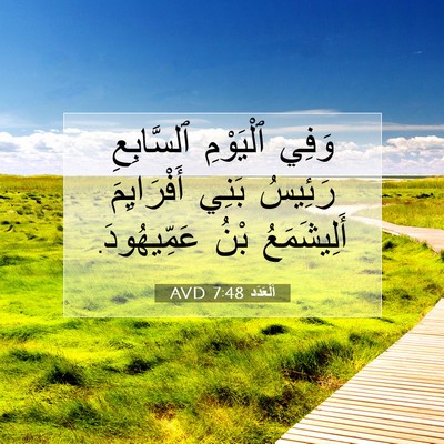 Picture 07 - اَلْعَدَد 7:48 AVD - وَفِي ٱلْيَوْمِ - Bible Verse Picture