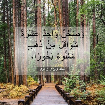 Picture 07 - اَلْعَدَد 7:50 AVD - وَصَحْنٌ وَاحِدٌ عَشَرَةُ - Bible Verse Picture