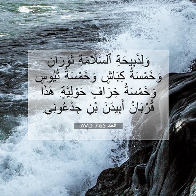 Picture 07 - اَلْعَدَد 7:65 AVD - وَلِذَبِيحَةِ - Bible Verse Picture