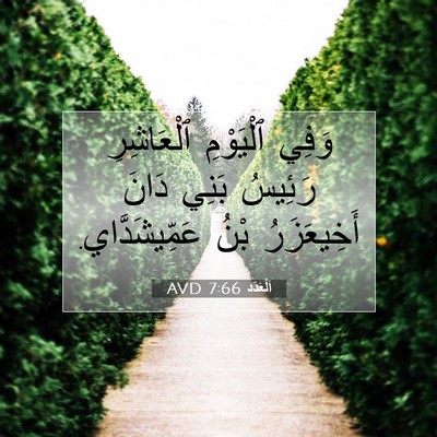 Picture 07 - اَلْعَدَد 7:66 AVD - وَفِي ٱلْيَوْمِ - Bible Verse Picture
