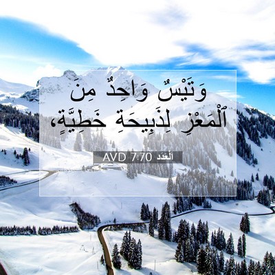 Picture 07 - اَلْعَدَد 7:70 AVD - وَتَيْسٌ وَاحِدٌ مِنَ - Bible Verse Picture