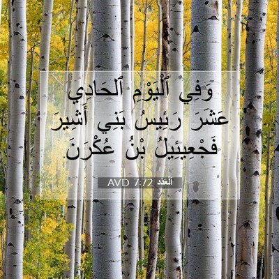 Picture 07 - اَلْعَدَد 7:72 AVD - وَفِي ٱلْيَوْمِ ٱلحَادِي - Bible Verse Picture