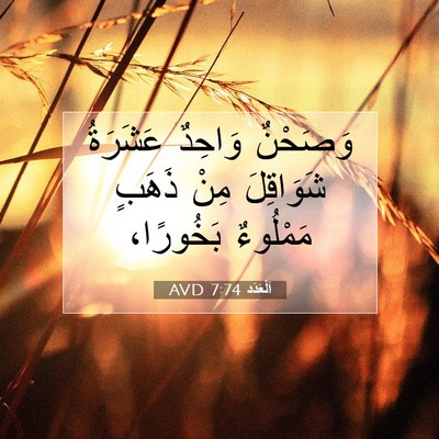Picture 07 - اَلْعَدَد 7:74 AVD - وَصَحْنٌ وَاحِدٌ عَشَرَةُ - Bible Verse Picture