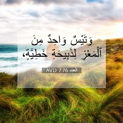 Picture 07 - اَلْعَدَد 7:76 AVD - وَتَيْسٌ وَاحِدٌ مِنَ - Bible Verse Picture