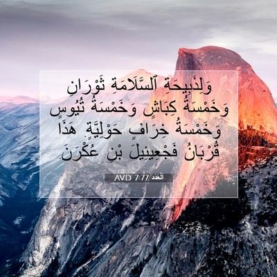 Picture 07 - اَلْعَدَد 7:77 AVD - وَلِذَبِيحَةِ - Bible Verse Picture
