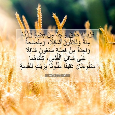 Picture 07 - اَلْعَدَد 7:79 AVD - قُرْبَانُهُ طَبَقٌ - Bible Verse Picture