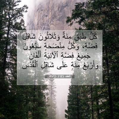 Picture 07 - اَلْعَدَد 7:85 AVD - كُلُّ طَبَقٍ مِئَةٌ - Bible Verse Picture