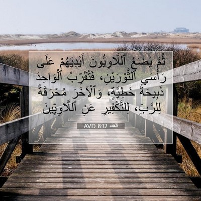 Picture 07 - اَلْعَدَد 8:12 AVD - ثُمَّ يَضَعُ - Bible Verse Picture