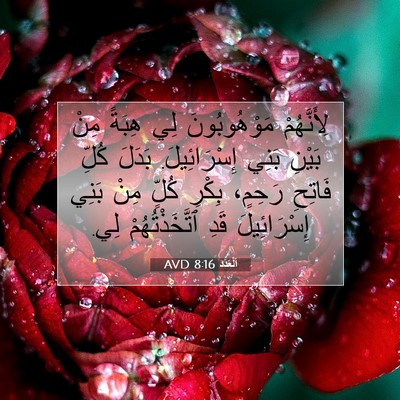 Picture 07 - اَلْعَدَد 8:16 AVD - لِأَنَّهُمْ مَوْهُوبُونَ - Bible Verse Picture