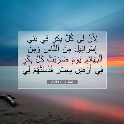 Picture 07 - اَلْعَدَد 8:17 AVD - لِأَنَّ لِي كُلَّ بِكْرٍ - Bible Verse Picture