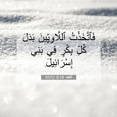 Picture 07 - اَلْعَدَد 8:18 AVD - فَٱتَّخَذْتُ - Bible Verse Picture