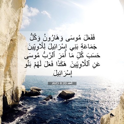 Picture 07 - اَلْعَدَد 8:20 AVD - فَفَعَلَ مُوسَى - Bible Verse Picture