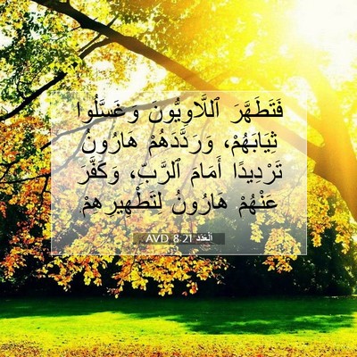 Picture 07 - اَلْعَدَد 8:21 AVD - فَتَطَهَّرَ - Bible Verse Picture
