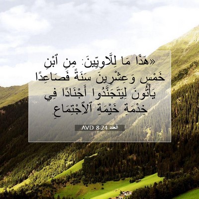 Picture 07 - اَلْعَدَد 8:24 AVD - «هَذَا مَا لِلَّاوِيِّينَ: - Bible Verse Picture