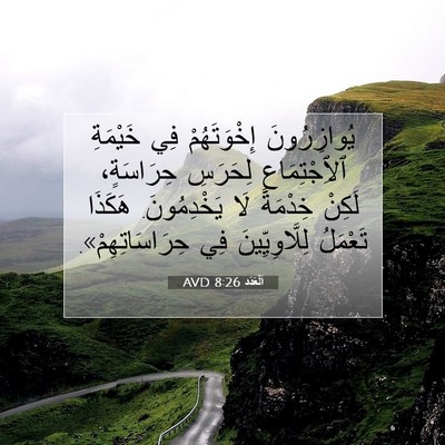Picture 07 - اَلْعَدَد 8:26 AVD - يُوازِرُونَ إِخْوَتَهُمْ - Bible Verse Picture