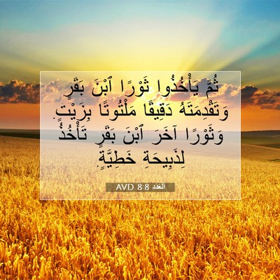 Picture 07 - اَلْعَدَد 8:8 AVD - ثُمَّ يَأْخُذُوا ثَوْرًا - Bible Verse Picture