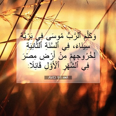 Picture 07 - اَلْعَدَد 9:1 AVD - وَكَلَّمَ ٱلرَّبُّ مُوسَى - Bible Verse Picture