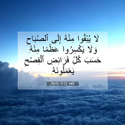Picture 07 - اَلْعَدَد 9:12 AVD - لَا يُبْقُوا مِنْهُ إِلَى - Bible Verse Picture