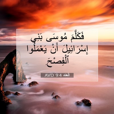 Picture 07 - اَلْعَدَد 9:4 AVD - فَكَلَّمَ مُوسَى بَنِي - Bible Verse Picture