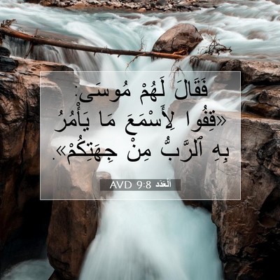 Picture 07 - اَلْعَدَد 9:8 AVD - فَقَالَ لَهُمْ مُوسَى: - Bible Verse Picture