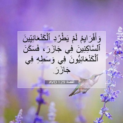 Picture 07 - اَلْقُضَاة 1:29 AVD - وَأَفْرَايِمُ لَمْ - Bible Verse Picture
