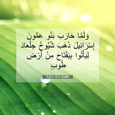 Picture 07 - اَلْقُضَاة 11:5 AVD - وَلَمَّا حَارَبَ بَنُو - Bible Verse Picture