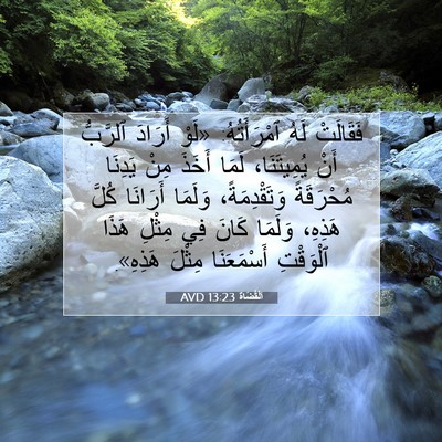 Picture 07 - اَلْقُضَاة 13:23 AVD - فَقَالَتْ لَهُ - Bible Verse Picture