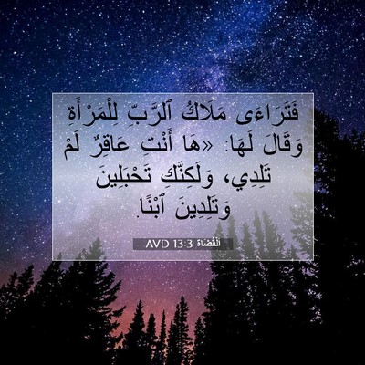 Picture 07 - اَلْقُضَاة 13:3 AVD - فَتَرَاءَى مَلَاكُ - Bible Verse Picture