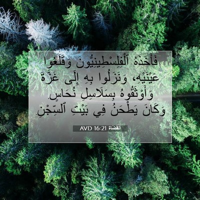 Picture 07 - اَلْقُضَاة 16:21 AVD - فَأَخَذَهُ - Bible Verse Picture