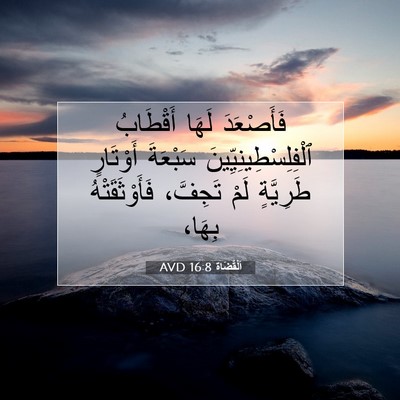 Picture 07 - اَلْقُضَاة 16:8 AVD - فَأَصْعَدَ لَهَا - Bible Verse Picture