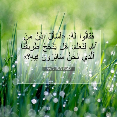 Picture 07 - اَلْقُضَاة 18:5 AVD - فَقَالُوا لَهُ: «ٱسْأَلْ - Bible Verse Picture
