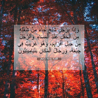 Picture 07 - اَلْقُضَاة 19:16 AVD - وَإِذَا بِرَجُلٍ شَيْخٍ - Bible Verse Picture
