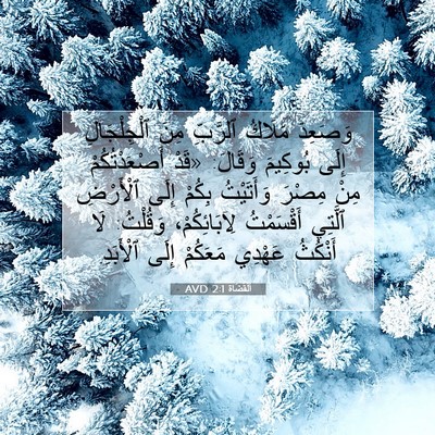 Picture 07 - اَلْقُضَاة 2:1 AVD - وَصَعِدَ مَلَاكُ ٱلرَّبِّ - Bible Verse Picture
