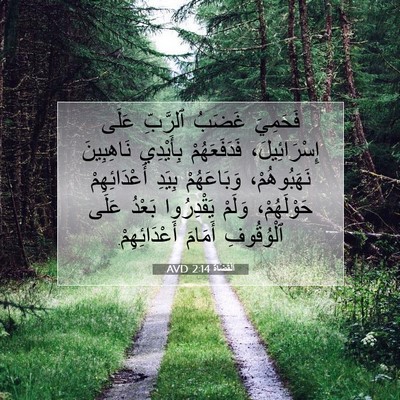 Picture 07 - اَلْقُضَاة 2:14 AVD - فَحَمِيَ غَضَبُ ٱلرَّبِّ - Bible Verse Picture