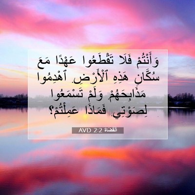 Picture 07 - اَلْقُضَاة 2:2 AVD - وَأَنْتُمْ فَلَا - Bible Verse Picture