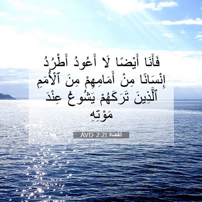 Picture 07 - اَلْقُضَاة 2:21 AVD - فَأَنَا أَيْضًا لَا - Bible Verse Picture
