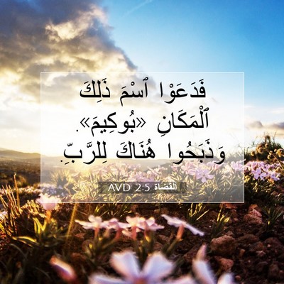 Picture 07 - اَلْقُضَاة 2:5 AVD - فَدَعَوْا ٱسْمَ ذَلِكَ - Bible Verse Picture