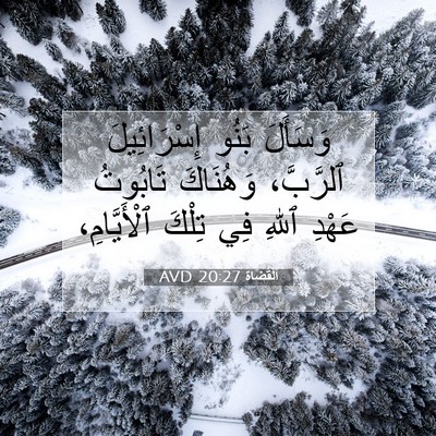 Picture 07 - اَلْقُضَاة 20:27 AVD - وَسَأَلَ بَنُو - Bible Verse Picture